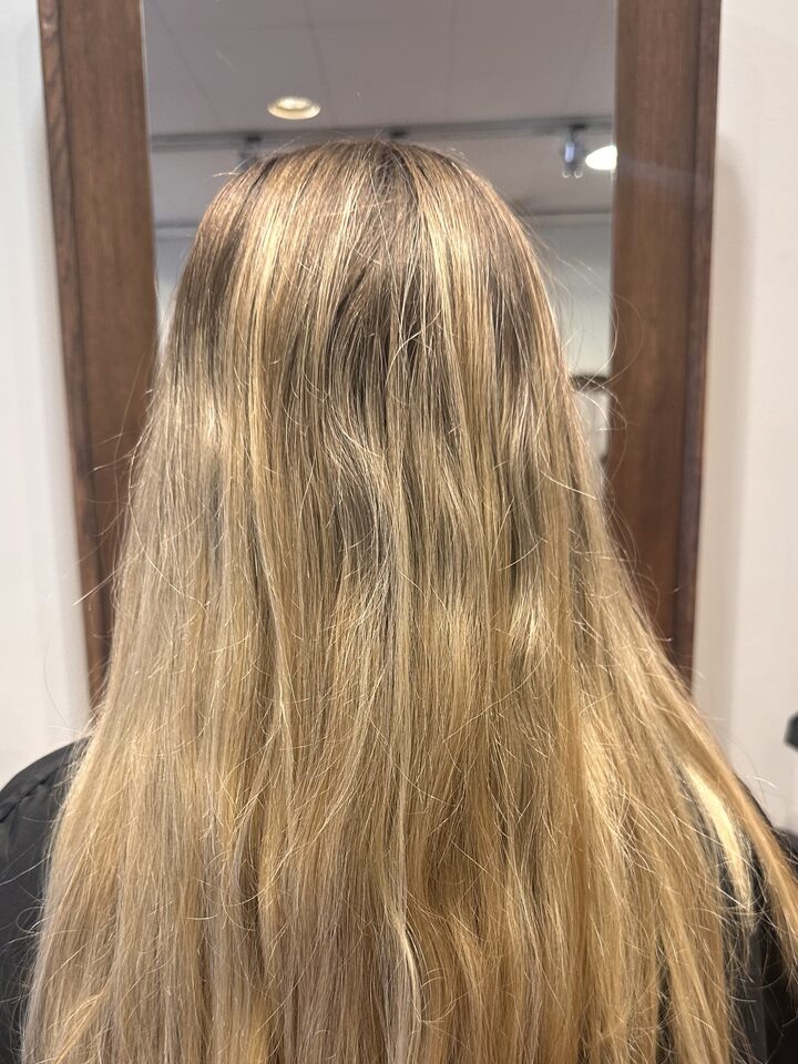 Long hair with warm regrowth before the treatment