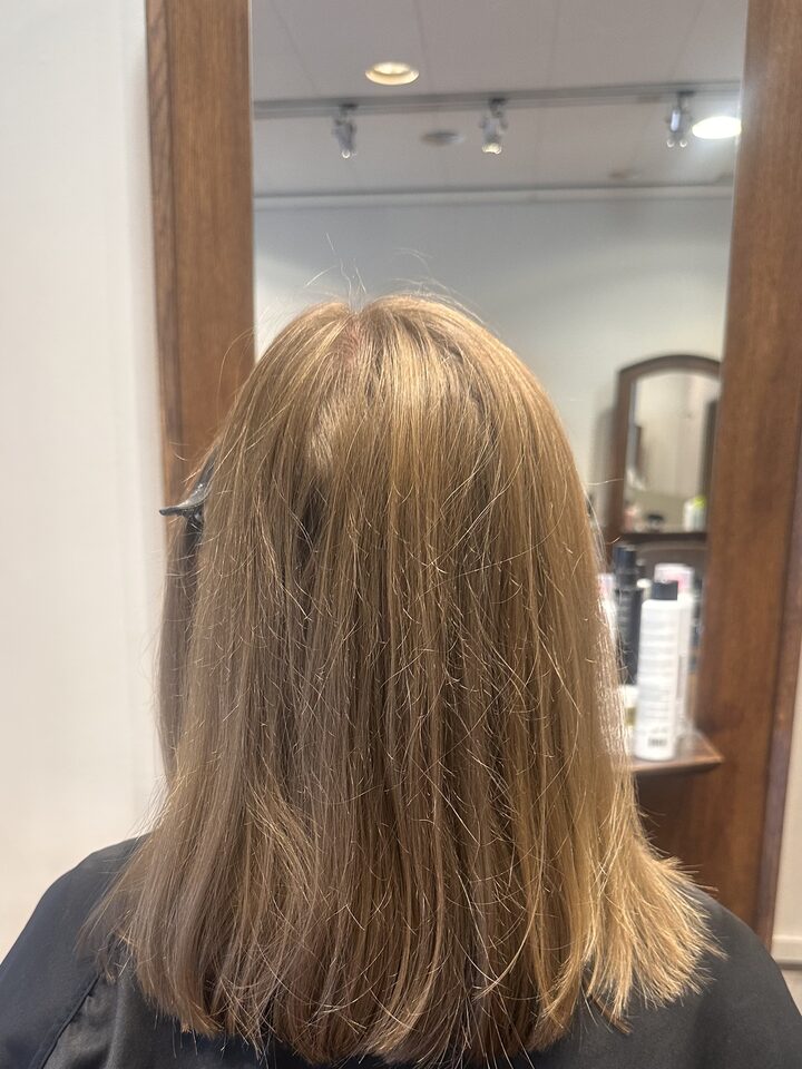 Shoulder-length beige hair before the treatment