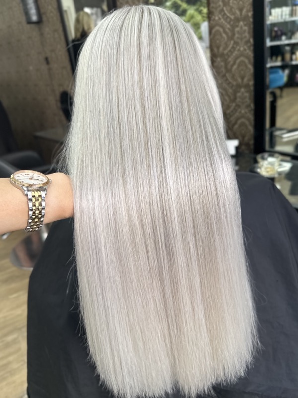 Silver Gray Perfection